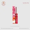 Lip Gloss Packaging Boxes UK